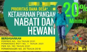 Dana Desa 20 Persen Program Ketahanan Pangan di Desa Rawasari Cilebar Diduga Bures Digares Kades?